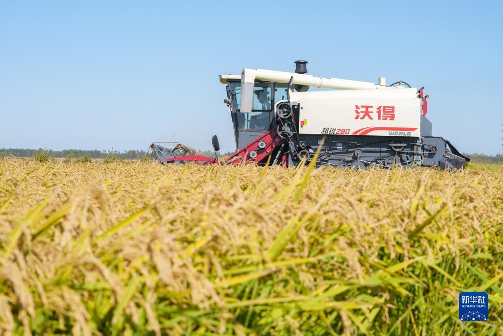 dt电子试玩